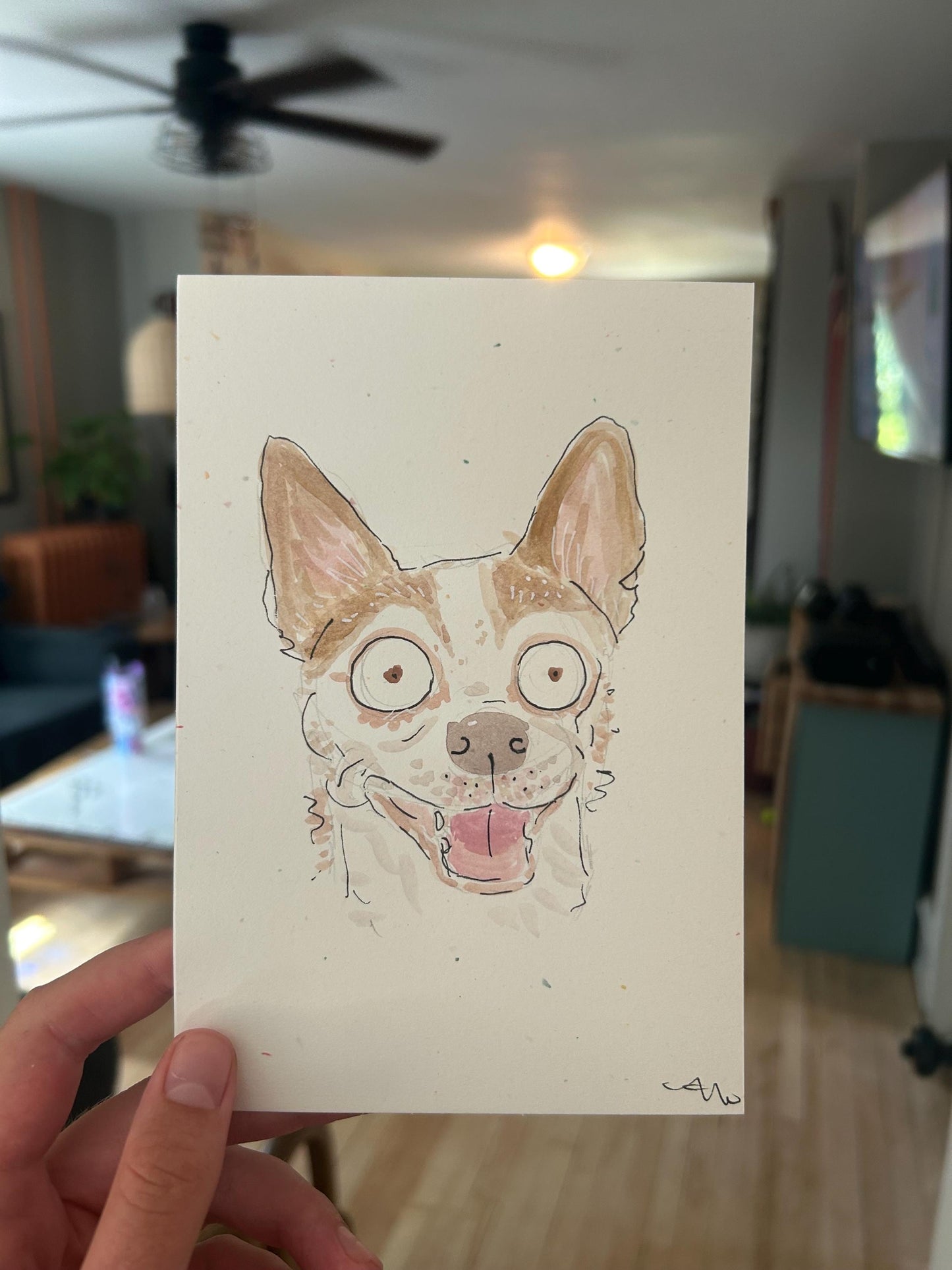 Chaotic pet portraits!