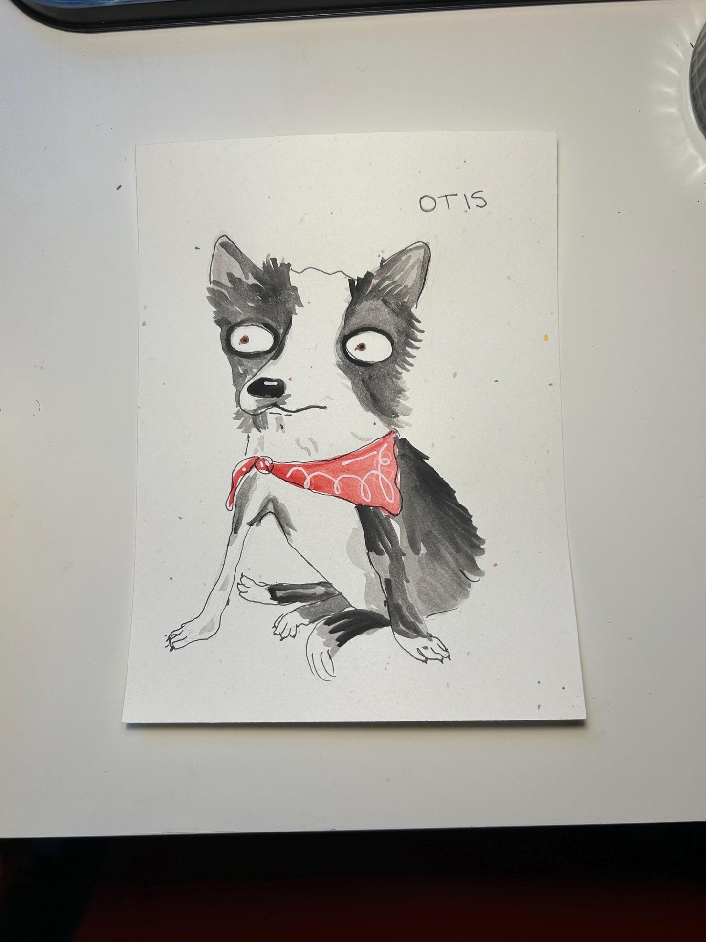 Chaotic pet portraits!