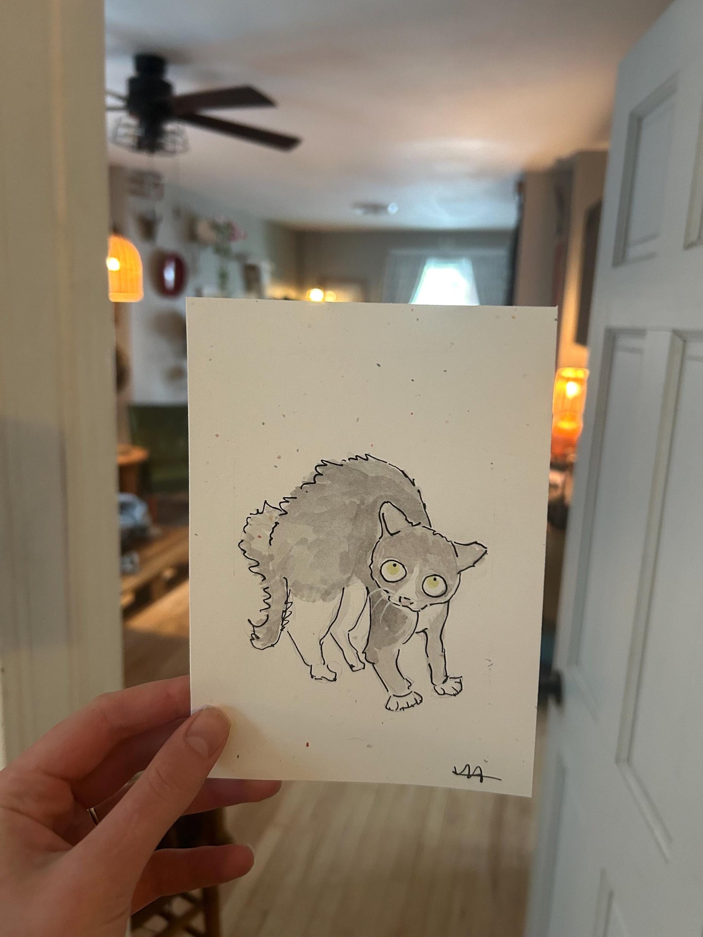 Chaotic pet portraits!