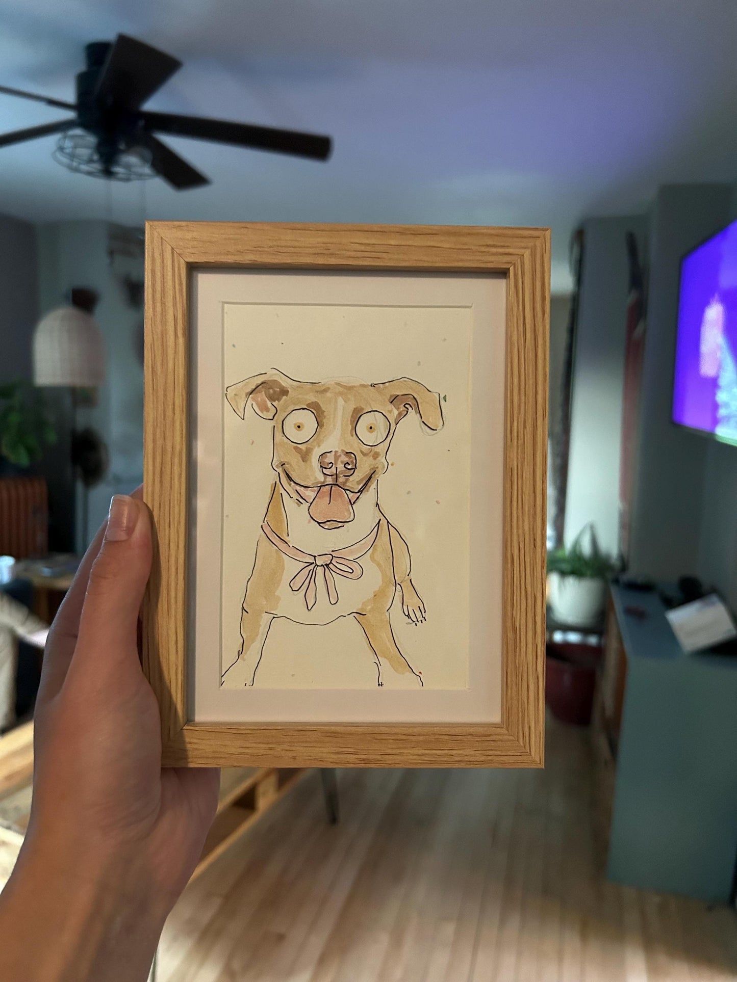 Chaotic pet portraits!