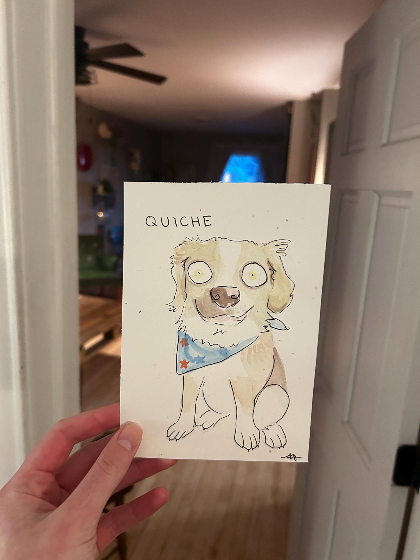 Chaotic pet portraits!